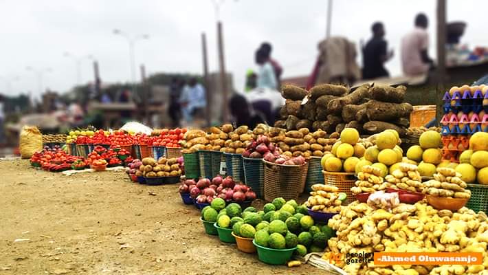 federal-government-of-nigeria-and-ifad-to-collaborate-on-food-security